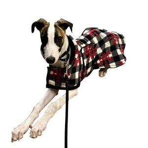 Plaid Dog Coat with Red Accents